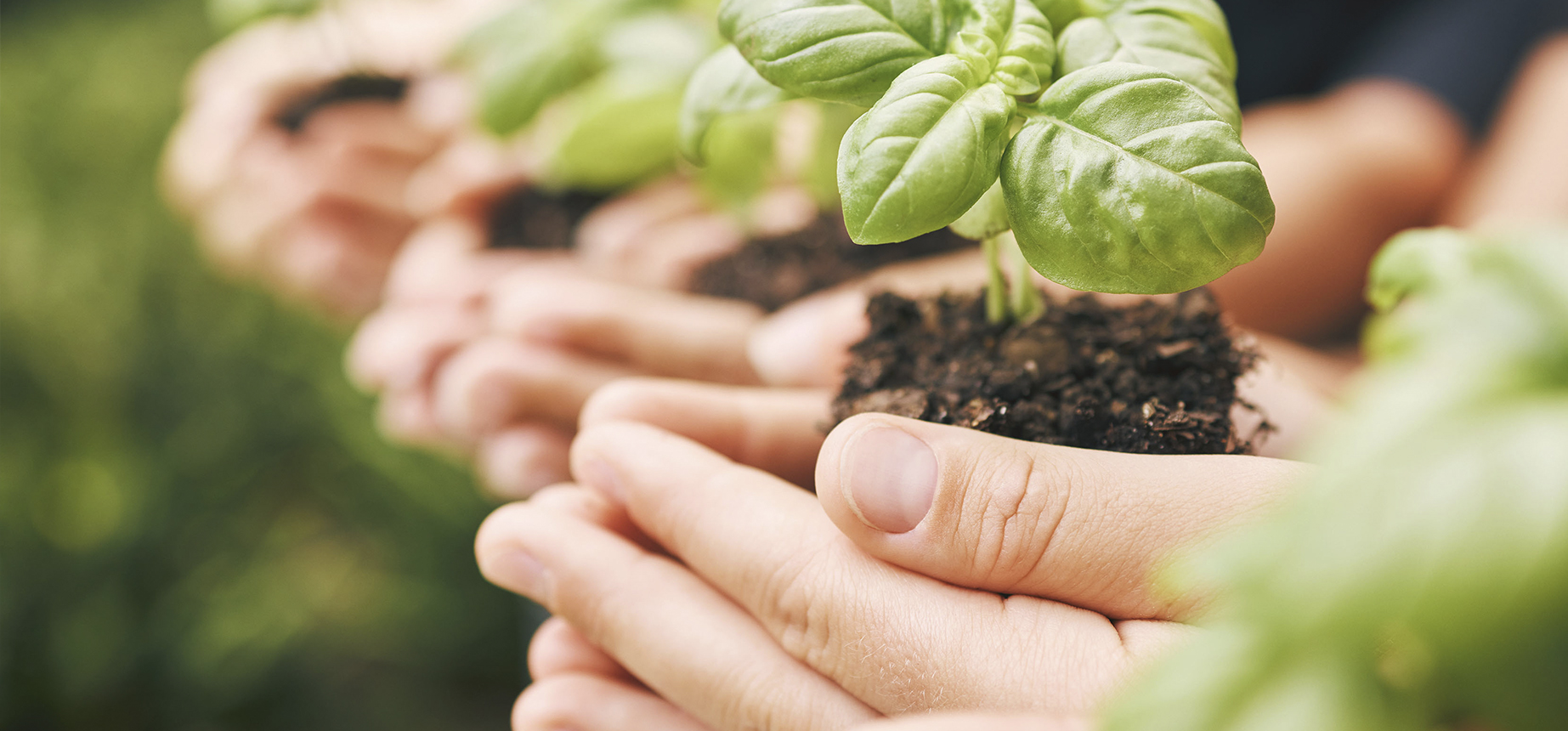 Banner do selo ESG Água Florestal, uma iniciativa da Associação Verde Esperança para obter participação de empresas que desejam se destacar pela responsabilidade socioambiental e comunicação verde, pessoas físicas, projetos e ongs para promover o reflorestamento de áreas degradadas e proteção de nascentes.